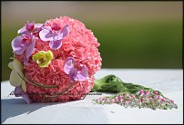 www.floristic.ru - .  .