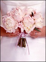 www.floristic.ru - .  .