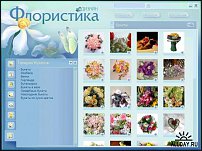 www.floristic.ru - .   