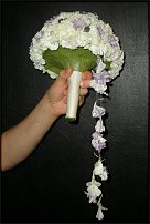 www.floristic.ru - .  .