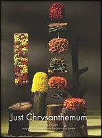 www.floristic.ru - . "Just Chrysanthemum"  )