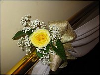 www.floristic.ru - .   .