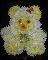 www.floristic.ru - .   ....