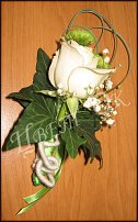 www.floristic.ru - .  .