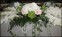 www.floristic.ru - .  .