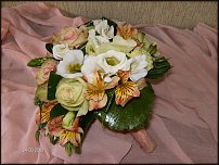 www.floristic.ru - .  .