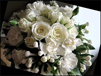 www.floristic.ru - .  .