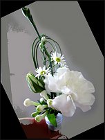 www.floristic.ru - .  .