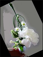 www.floristic.ru - .  .