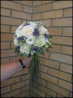 www.floristic.ru - .  .