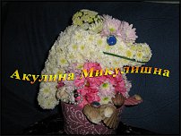 www.floristic.ru - .   ....