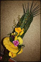 www.floristic.ru - .   