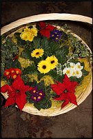 www.floristic.ru - . .   
