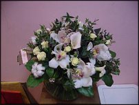 www.floristic.ru - .  