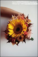 www.floristic.ru - .  !!