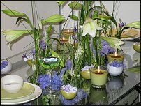 www.floristic.ru - .      "-", 