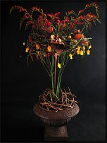 www.floristic.ru - .  !!