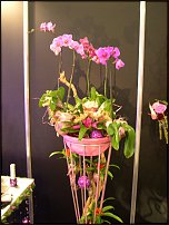 www.floristic.ru - .    ...   - ?