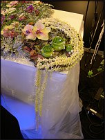 www.floristic.ru - .    ...   - ?