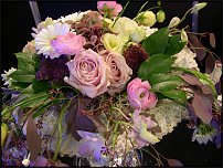 www.floristic.ru - .    ...   - ?