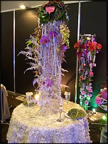 www.floristic.ru - .    ...   - ?