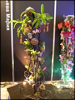 www.floristic.ru - .    ...   - ?