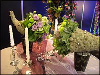 www.floristic.ru - .    ...   - ?