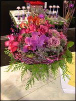 www.floristic.ru - .    ...   - ?