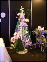 www.floristic.ru - .    ...   - ?