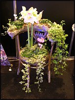 www.floristic.ru - .    ...   - ?