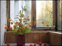 www.floristic.ru - .  !!