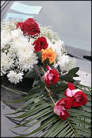 www.floristic.ru - . 