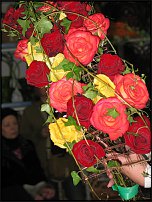 www.floristic.ru - .  , .-  ""() 23.10.2009