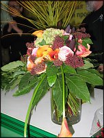 www.floristic.ru - .  , .-  ""() 23.10.2009