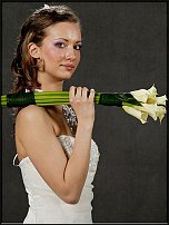 www.floristic.ru - .  ..   2009