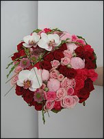 www.floristic.ru - .  .