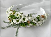 www.floristic.ru - .    