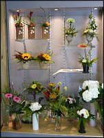 www.floristic.ru - .       - ?