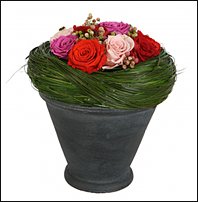 www.floristic.ru - .  