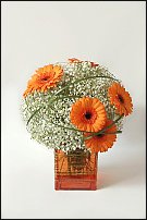 www.floristic.ru - .  