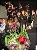 www.floristic.ru - .  , .- ". " 28.10.2009