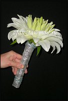 www.floristic.ru - . 