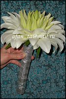 www.floristic.ru - . 