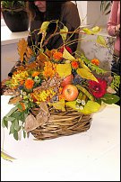 www.floristic.ru - .  !!