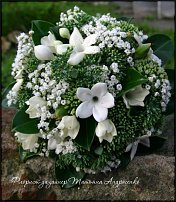 www.floristic.ru - .  .