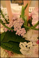 www.floristic.ru - .  .