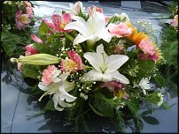 www.floristic.ru - .  .