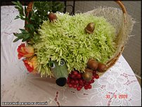 www.floristic.ru - .   ....