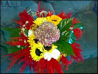 www.floristic.ru - .  !!