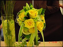 www.floristic.ru - .  .